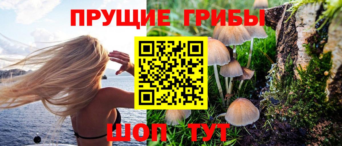 Псилоцибиновые грибы Psilocybe Гусь-Хрустальный